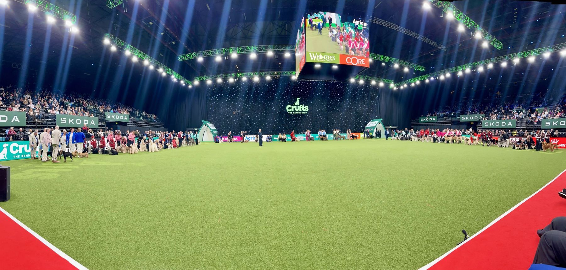 Editorial: March 14, 2024